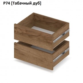 РОЛАНД Выдвижные ящики  Р76 в Пойковском - poikovskii.mebel24.online | фото 10